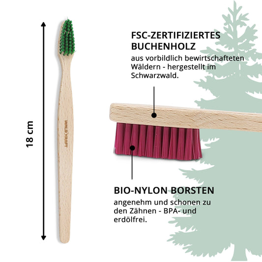 Zahnbürste aus Buchenholz